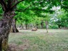 Image 17 - Outside