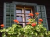 Bilde 6