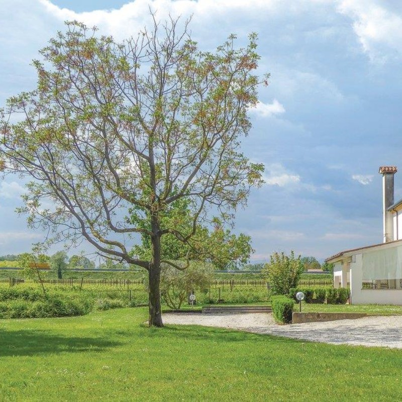Sommerhus - 5 personer -  - Via S. Giovanni, - Treviso - 31057 - Silea (Tv)