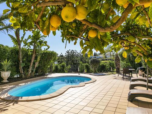 Sommerhus - 6 personer -  - 8400-564 - Carvoeiro