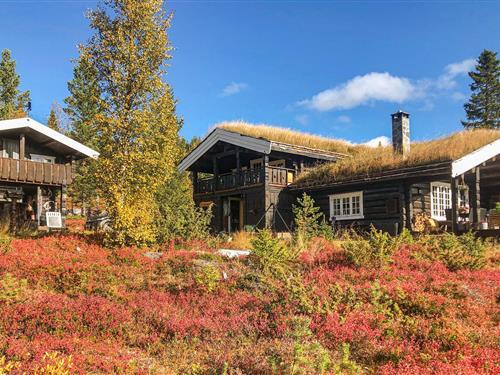 Feriehus / leilighet - 8 personer -  - Nerseterlia - Skåbu - 2640 - Vinstra