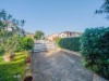 Bild 33 - Ude