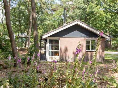 Sommerhus - 4 personer -  - 5756PK - Vlierden