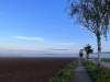 Billede 18