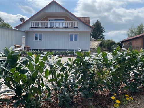Holiday Home/Apartment - 14 persons -  - 06493 - Güntersberge