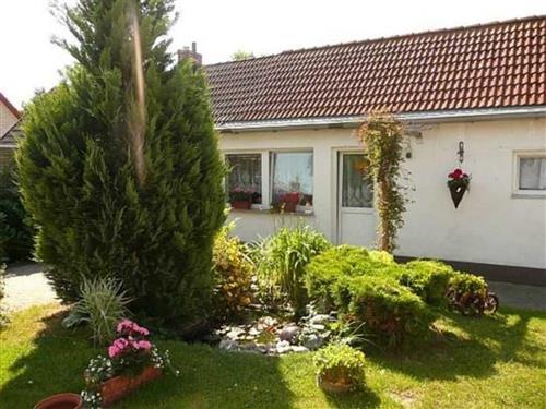 Holiday Home/Apartment - 3 persons -  - Wendorf - 18574 - Garz