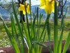 Bild 18