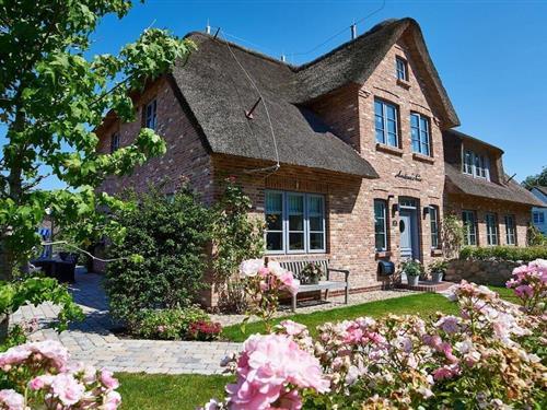 Fritidshus - 4 personer -  - 25938 - Nieblum