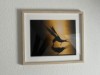 Bild 21
