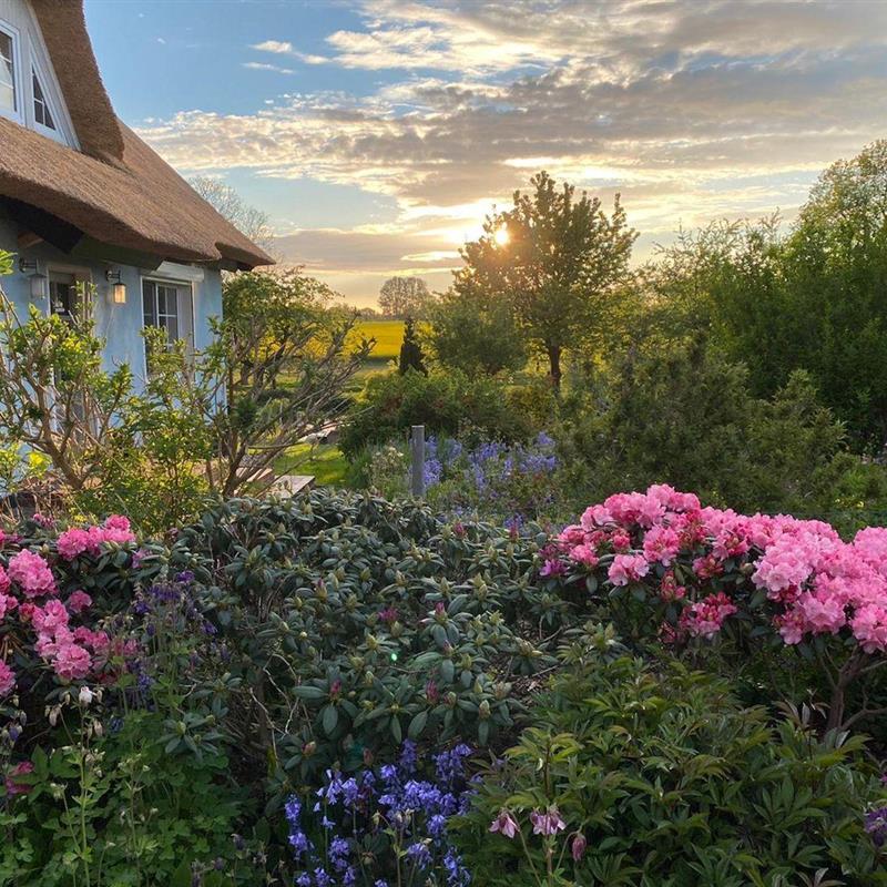 Ferielejlighed - 5 personer -  - Vilmnitzer Dorfstraße - 18581 - Vilmnitz