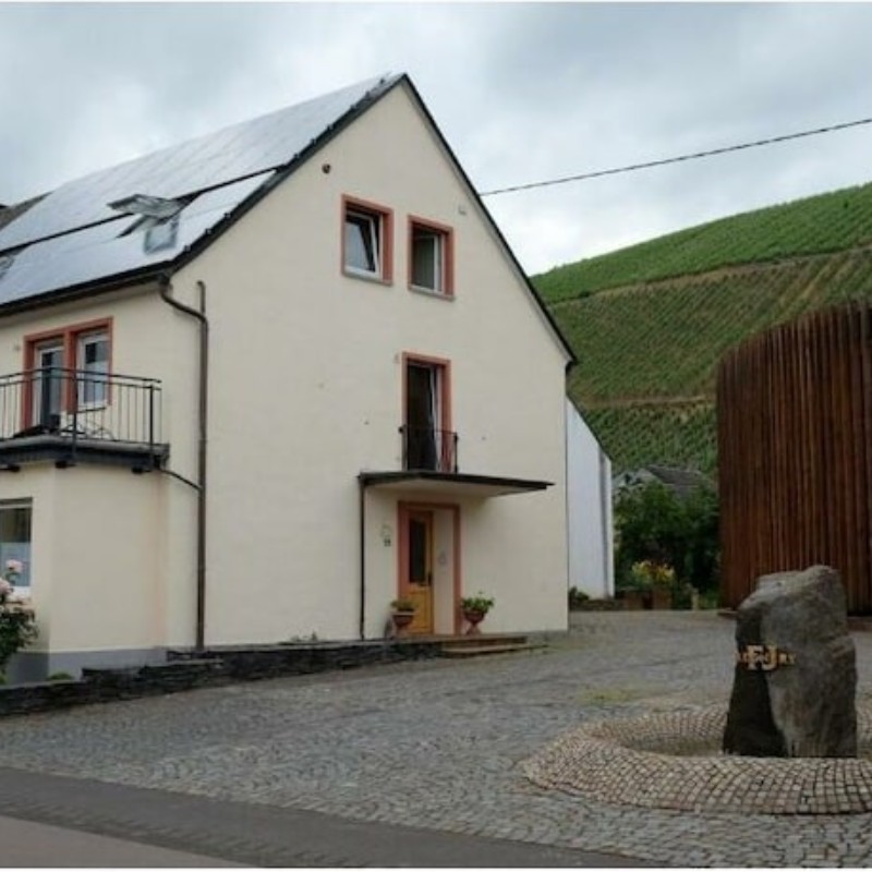 Sommerhus - 4 personer -  - 54340 - Klüsserath