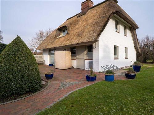 Holiday home - 5 persons -  - Hauke-Haien-Weg - 25826 - St. Peter-Ording
