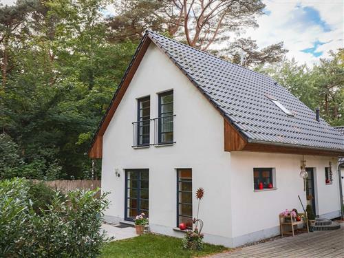 Ferienhaus - 5 Personen -  - Gerhart-Hauptmann-Straße - 17459 - Loddin / Kölpinsee