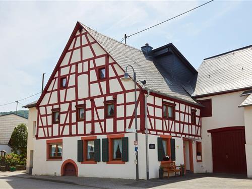 Holiday home - 4 persons -  - Goldbachstraße - 54470 - Bernkastel-Kues