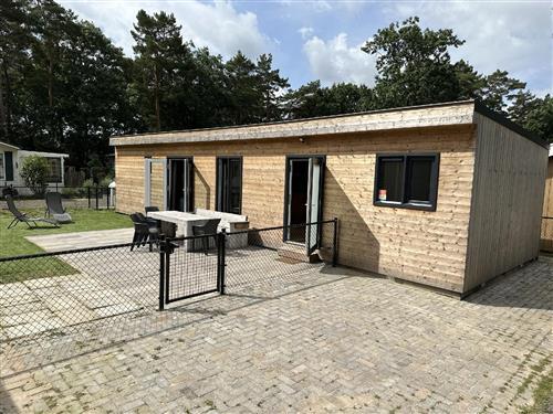 Sommerhus - 8 personer -  - Patrijslaan - 5731 XN - Mierlo