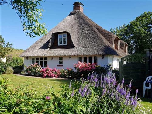 Sommerhus - 7 personer -  - Westerdeich - 25836 - Poppenbüll