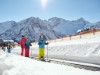 Bild 36