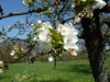 Bild 19