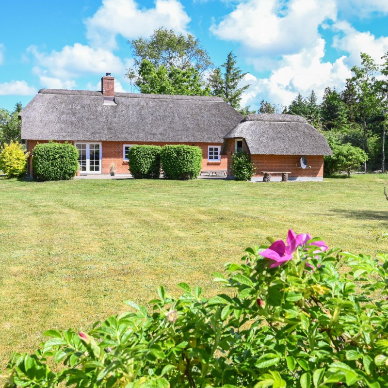 Ferienhaus - 6 Personen -  - Svollingvej - Vester Husby - 6990 - Ulfborg