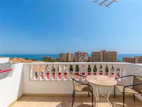 Ferielejlighed - 4 personer -  - Torrevieja - 03188