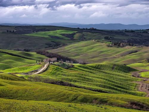 Semesterhus/Semesterlägenhet - 4 personer -  - podere Fossaccio - 53041 - Asciano