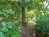 Bild 19