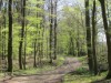 Bild 32 - Aussen