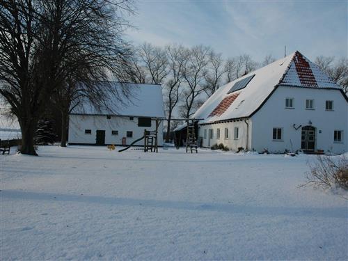 Semesterhus/Semesterlägenhet - 5 personer -  - Feldweg - 18528 - Rappin