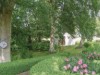 Image 14