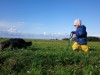 Bild 35 - Ude