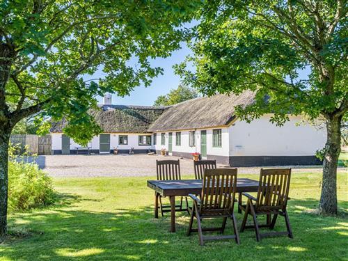 Sommerhus - 4 personer -  - Blåbjergvej 51 (A) - Houstrup - 6830 - Nr. Nebel