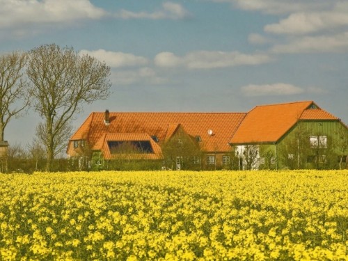 Sommerhus - 3 personer -  - 25845 - Nordstrand