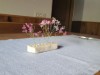 Bild 16