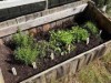 Bild 22