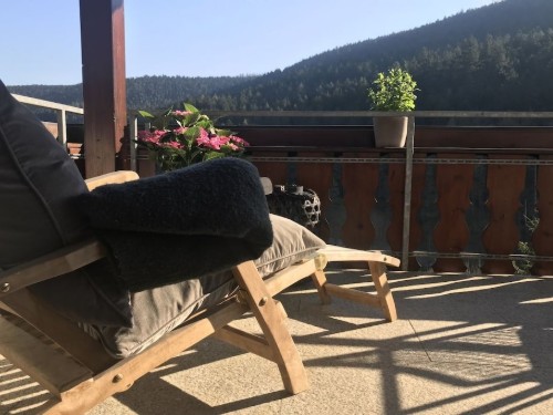 Sommerhus - 5 personer -  - 72275 - Alpirsbach