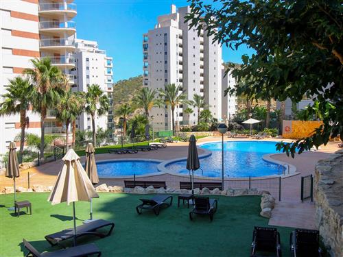Holiday apartment - 4 persons -  - Benidorm - 03570