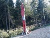 Bild 22