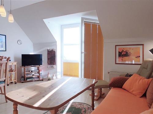 Ferielejlighed - 3 personer -  - Buchenweg - 23999 - Kirchdorf