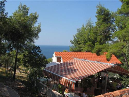 Semesterlägenhet - 2 personer -  - Hvar/Hvar - 21450