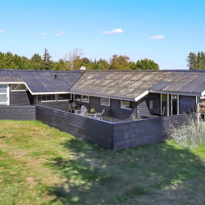 Ferienhaus - 8 Personen -  - Berberisvej - 9492 - Blokhus