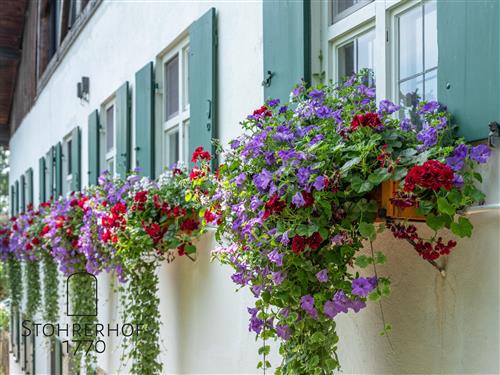 Sommerhus - 15 personer -  - Neuwiese - 86911 - Dießen Am Ammersee