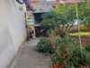 Bilde 2
