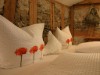 Bild 63