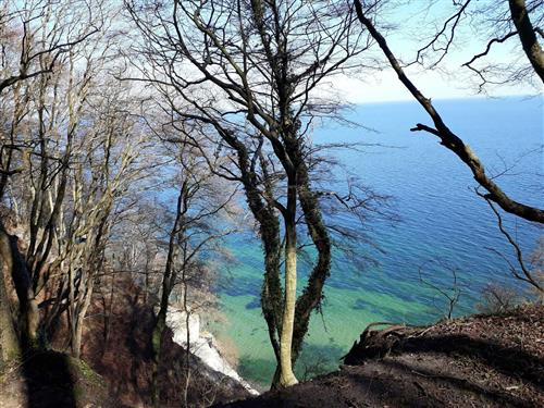 Ferielejlighed - 4 personer -  - Weddingstraße - 18546 - Sassnitz