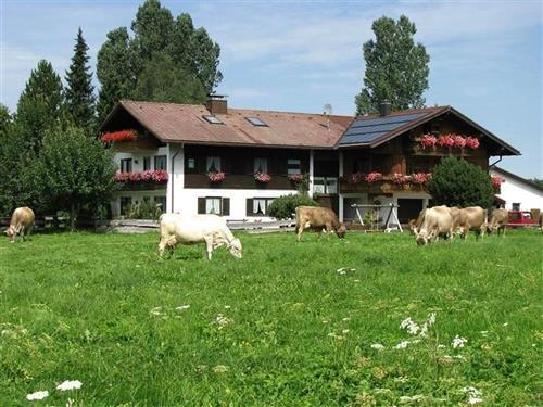 Bondegård - 4 personer -  - Agathazell - 87545 - Burgberg