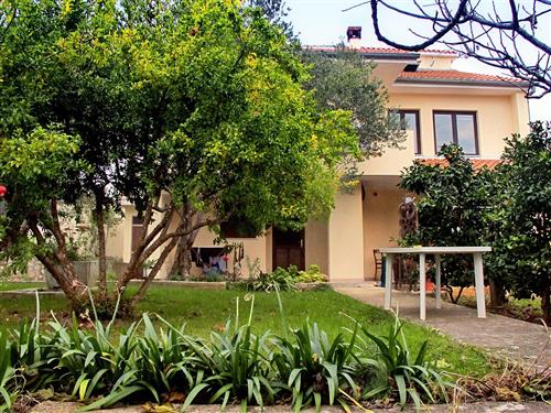 Holiday apartment - 4 persons -  - Put Sv. Petra 83, Kožino - 23231 - Petrcane