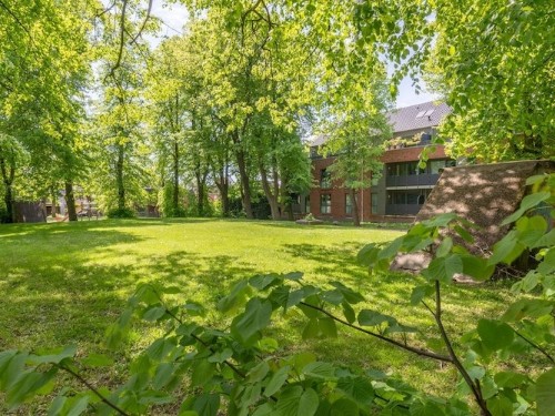 Holiday apartment - 4 persons -  - 25813 - Husum