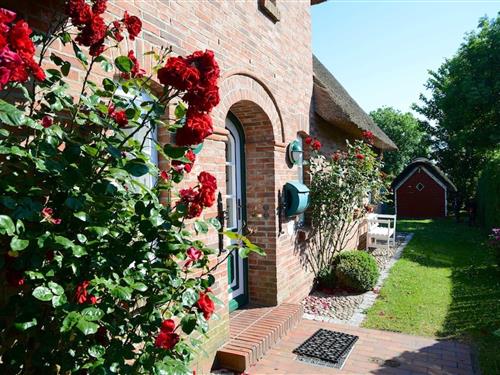 Sommerhus - 4 personer -  - Buurnstrat - 25938 - Oevenum