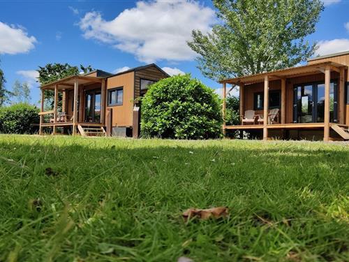 Sommerhus - 4 personer -  - 8483 JM - Scherpenzeel (Fr)