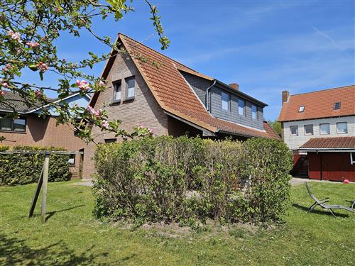 Ferienhaus - 8 Personen -  - Memelstraße - 23747 - Dahme